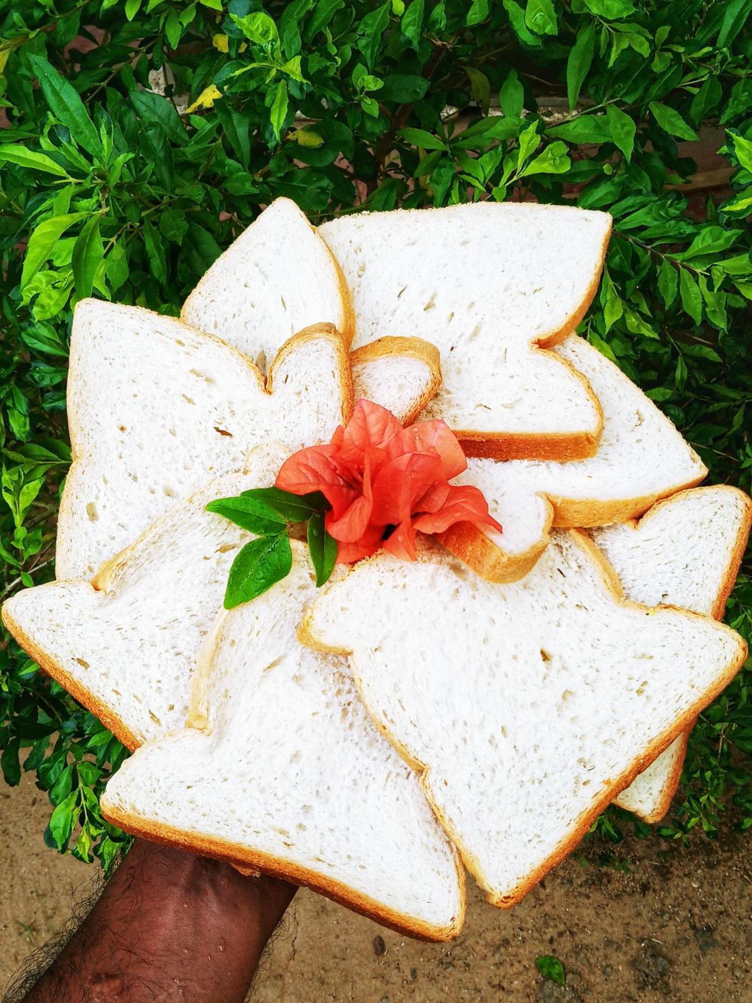 Venora Hiriketiya Bed & Breakfast Dikwella Bagian luar foto
